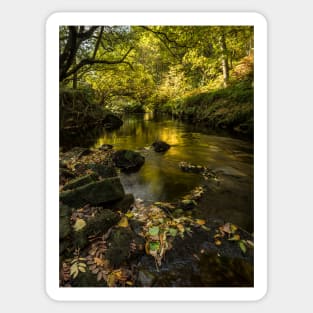 West Beck, Goathland, North Yorkshire Sticker